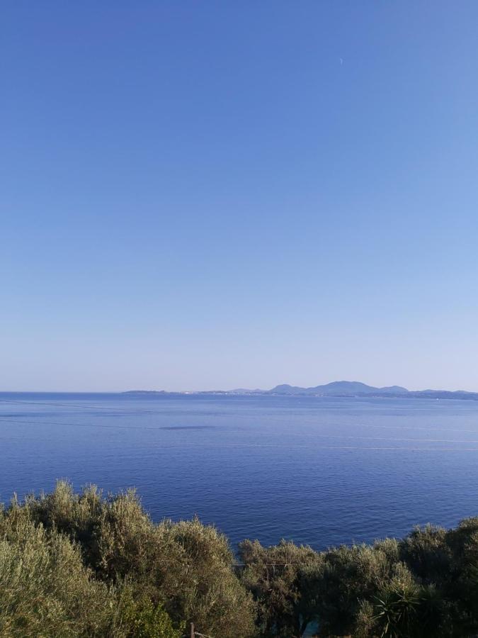 Baracunda Apartments Barbati Dış mekan fotoğraf